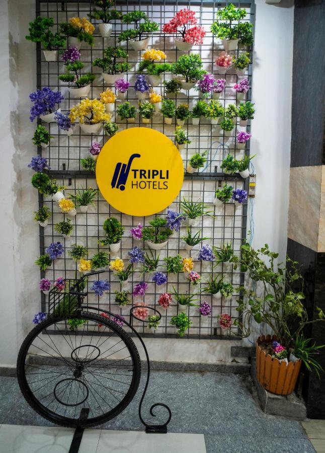 Tripli Hotels Arunoday Palace 烏代浦 外观 照片